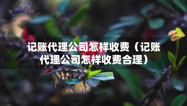 记账代理公司怎样收费（记账代理公司怎样收费合理）