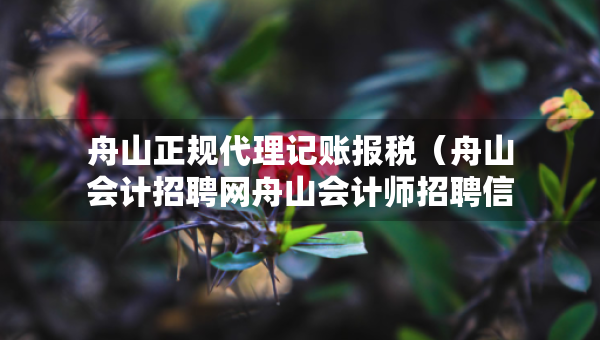 舟山正规代理记账报税（舟山会计招聘网舟山会计师招聘信息）