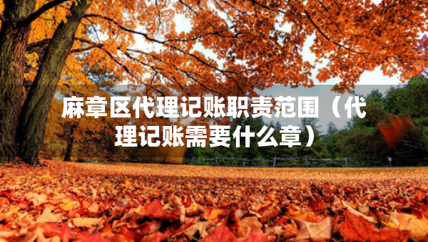 麻章区代理记账职责范围（代理记账需要什么章）