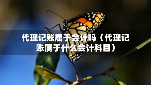 代理记账属于会计吗（代理记账属于什么会计科目）