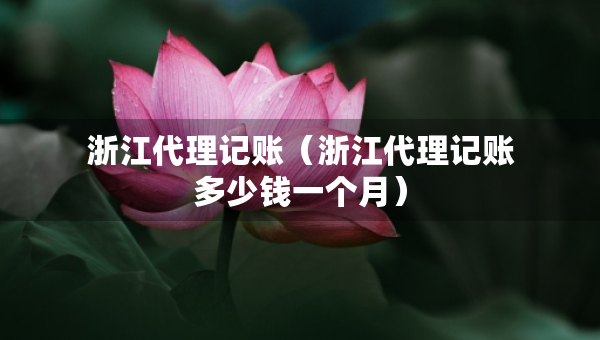 浙江代理记账（浙江代理记账多少钱一个月）