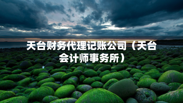 天台财务代理记账公司（天台会计师事务所）
