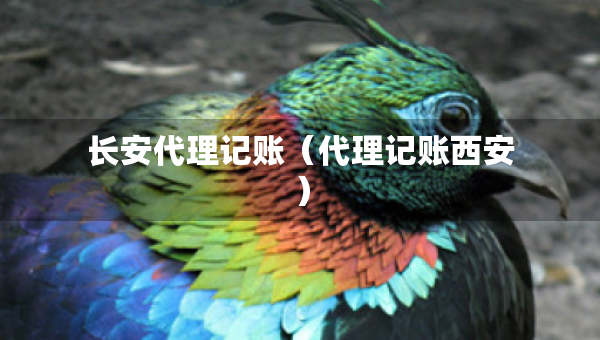 长安代理记账（代理记账西安）