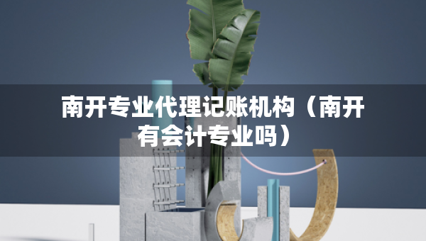 南开专业代理记账机构（南开有会计专业吗）