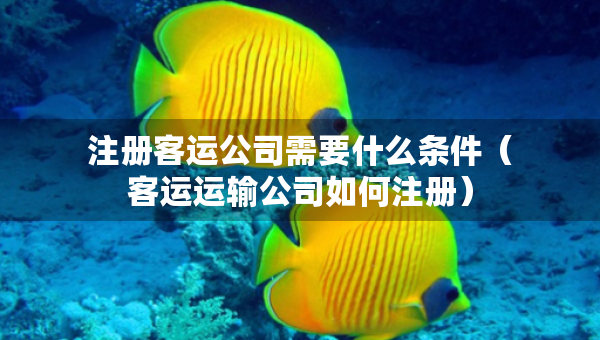 注册客运公司需要什么条件（客运运输公司如何注册）