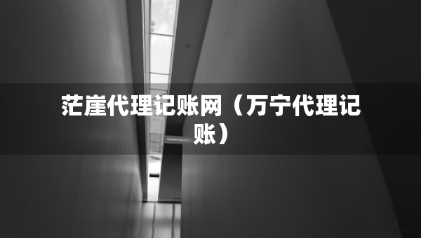 茫崖代理记账网（万宁代理记账）