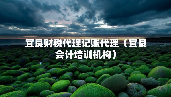 宜良财税代理记账代理（宜良会计培训机构）