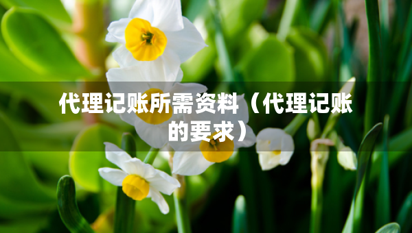 代理记账所需资料（代理记账的要求）