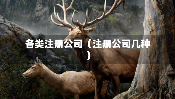 各类注册公司（注册公司几种）