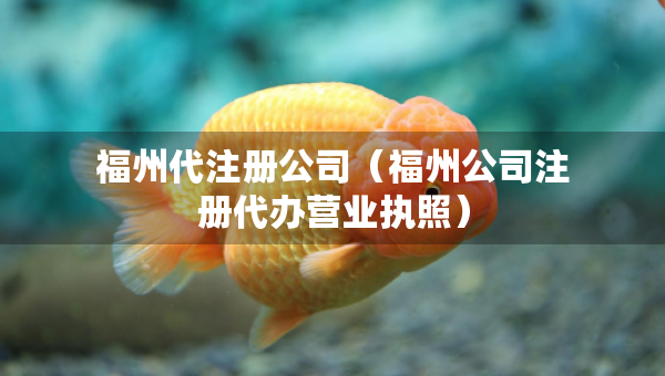 福州代注册公司（福州公司注册代办营业执照）