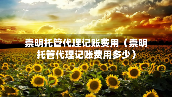 崇明托管代理记账费用（崇明托管代理记账费用多少）