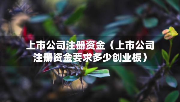 上市公司注册资金（上市公司注册资金要求多少创业板）
