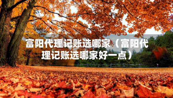 富阳代理记账选哪家（富阳代理记账选哪家好一点）