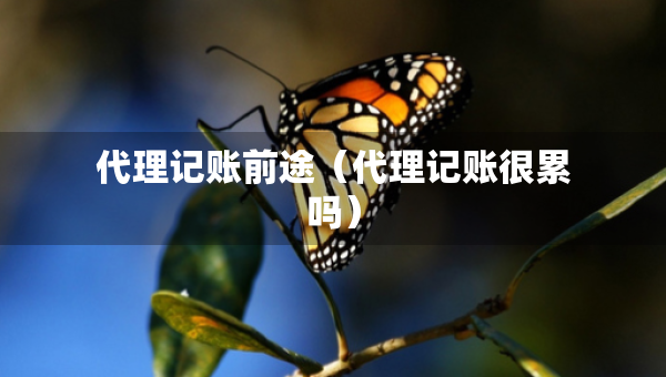 代理记账前途（代理记账很累吗）