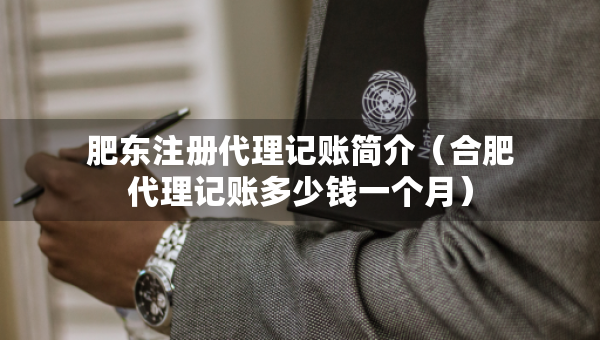 肥东注册代理记账简介(合肥代理记账多少钱一个月) 肥东注册代理记账简介(合肥代理记账多少钱一个月)