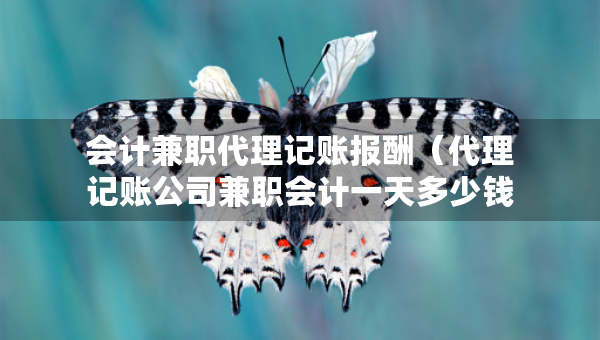 会计兼职代理记账报酬（代理记账公司兼职会计一天多少钱）