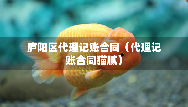 庐阳区代理记账合同（代理记账合同猫腻）