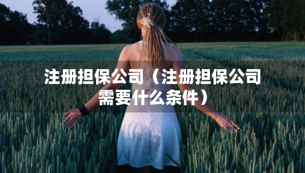 注册担保公司（注册担保公司需要什么条件）