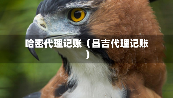 哈密代理记账（昌吉代理记账）