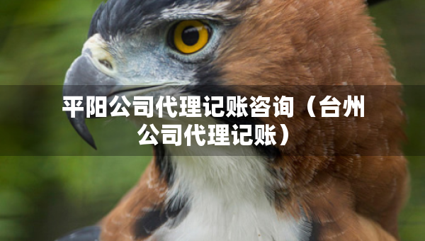 平阳公司代理记账咨询（台州公司代理记账）