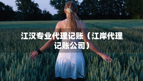 江汉专业代理记账（江岸代理记账公司）