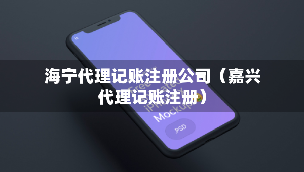 海宁代理记账注册公司（嘉兴代理记账注册）