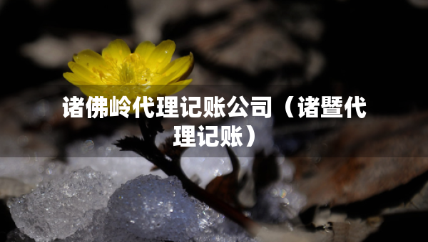 诸佛岭代理记账公司（诸暨代理记账）