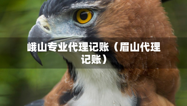 峨山专业代理记账（眉山代理记账）
