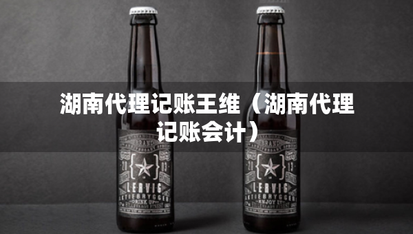 湖南代理记账王维（湖南代理记账会计）