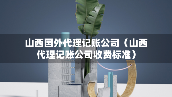 山西国外代理记账公司（山西代理记账公司收费标准）