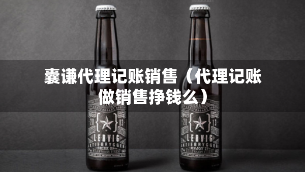 囊谦代理记账销售（代理记账做销售挣钱么）