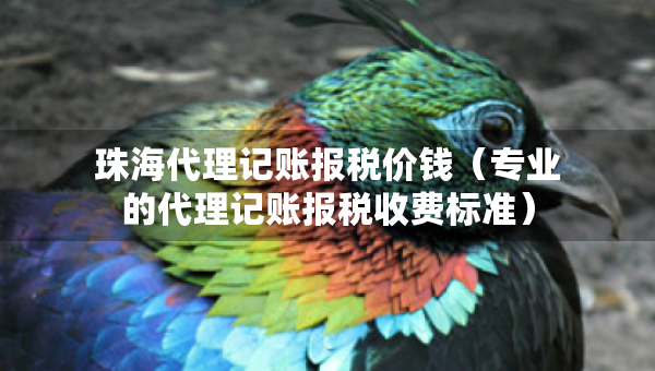 珠海代理记账报税价钱（专业的代理记账报税收费标准）
