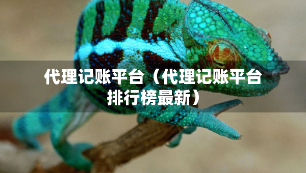 代理记账平台（代理记账平台排行榜最新）