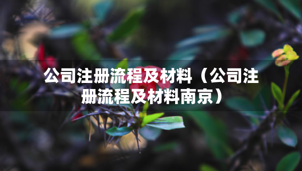 公司注册流程及材料（公司注册流程及材料南京）