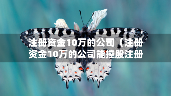 注册资金10万的公司（注册资金10万的公司能控股注册资金100万的公司）