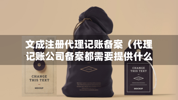 文成注册代理记账备案（代理记账公司备案都需要提供什么材料）