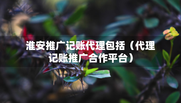 淮安推广记账代理包括（代理记账推广合作平台）