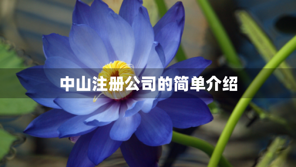 中山注册公司的简单介绍