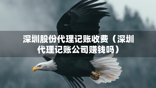 深圳股份代理记账收费（深圳代理记账公司赚钱吗）