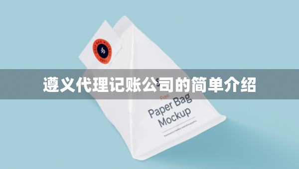 遵义代理记账公司的简单介绍