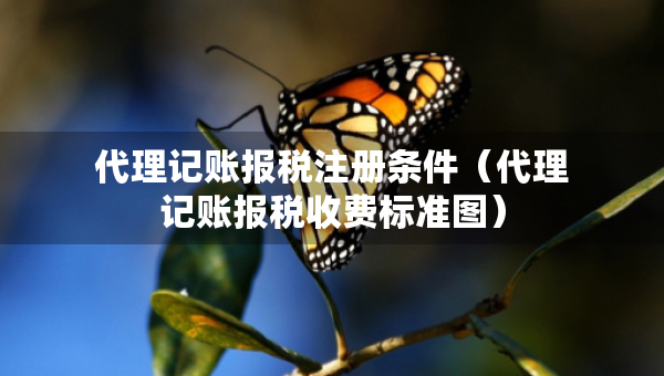 代理记账报税注册条件（代理记账报税收费标准图）