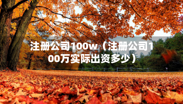 注册公司100w（注册公司100万实际出资多少）