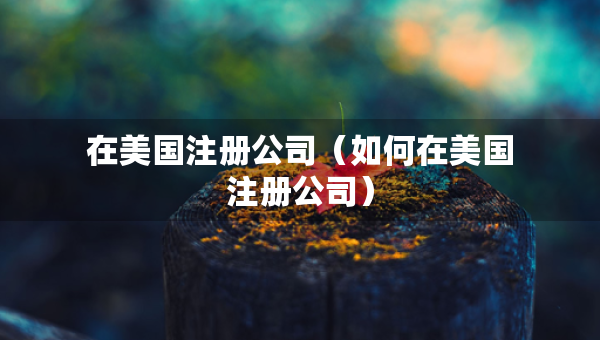 在美国注册公司（如何在美国注册公司）