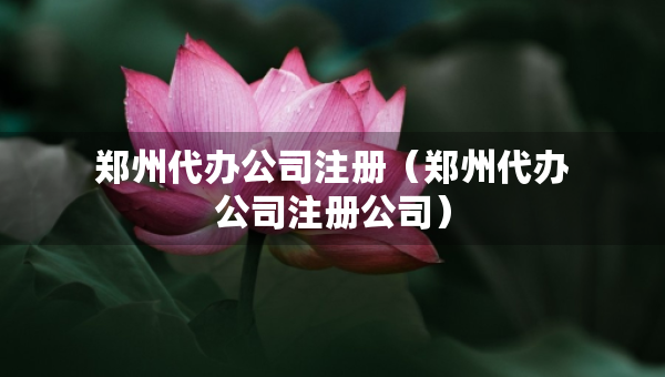 郑州代办公司注册（郑州代办公司注册公司）