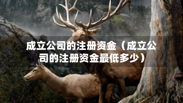 成立公司的注册资金（成立公司的注册资金最低多少）