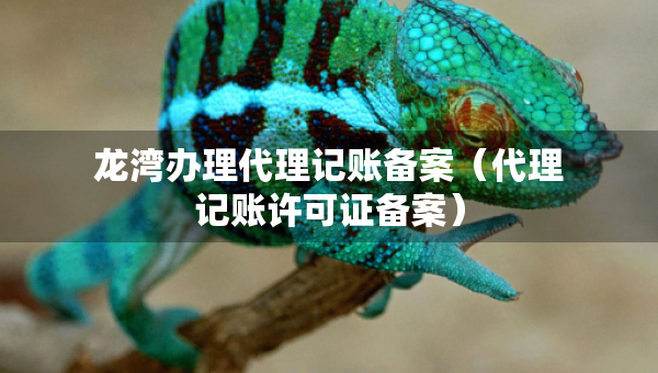 龙湾办理代理记账备案（代理记账许可证备案）