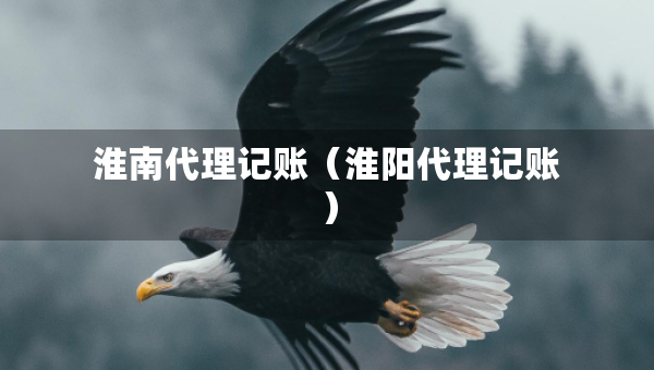 淮南代理记账（淮阳代理记账）