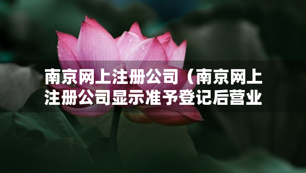 南京网上注册公司（南京网上注册公司显示准予登记后营业执照几天出来）