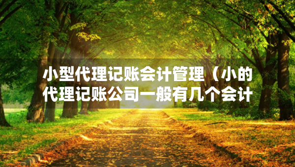 小型代理记账会计管理（小的代理记账公司一般有几个会计）