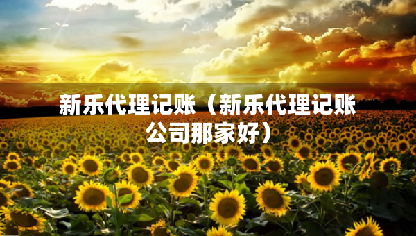 新乐代理记账（新乐代理记账公司那家好）